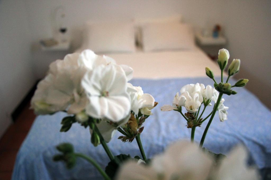 A Casa Da Arvore Bed & Breakfast Vila Nova de Milfontes Bilik gambar