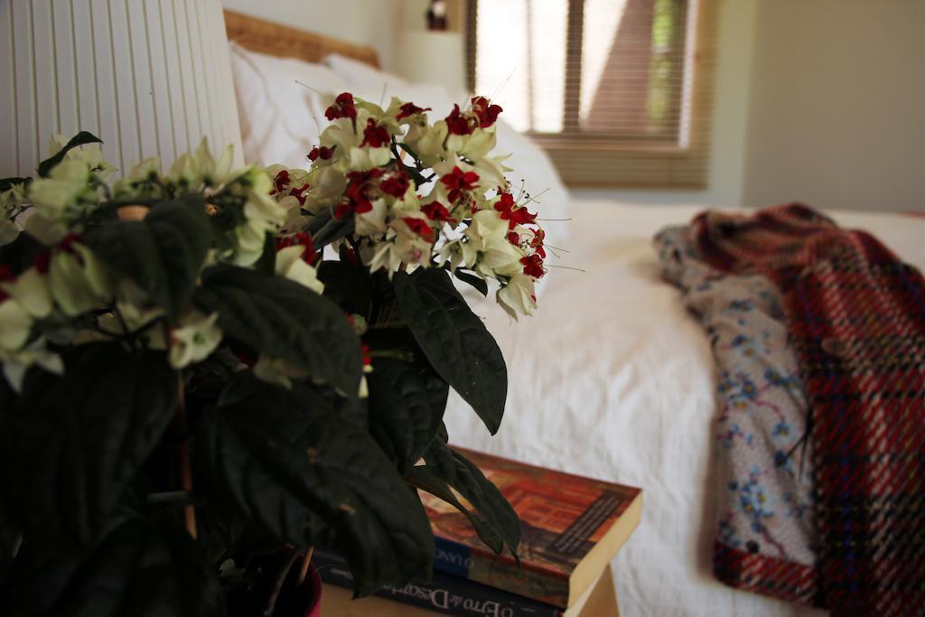A Casa Da Arvore Bed & Breakfast Vila Nova de Milfontes Bilik gambar